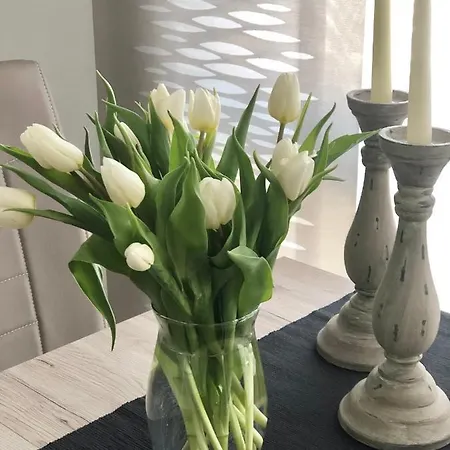 Seestern * Friedrichshafen