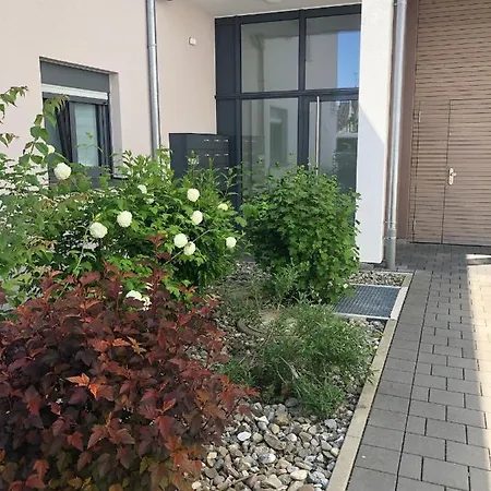 Seestern * Friedrichshafen